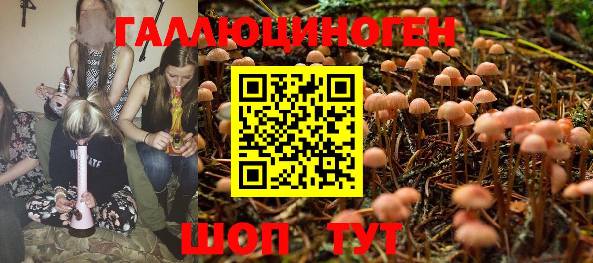 Псилоцибиновые грибы Psilocybe  Галлюциногенные грибы Magic Shrooms  Дальнереченск  Вход с VPN 