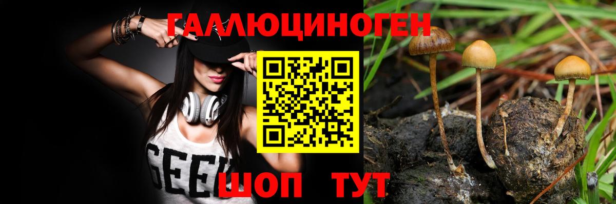 Псилоцибиновые грибы прущие грибы Дальнереченск