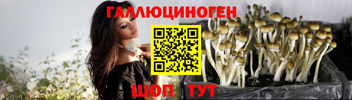 ЭКСТАЗИ  Дальнереченск  Мефедрон   Гашиш  Кокаин  Вход с VPN 