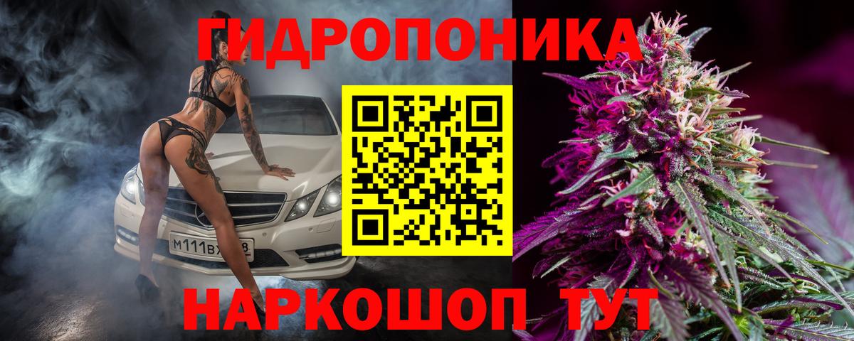 Бошки марихуана Amnesia Дальнереченск
